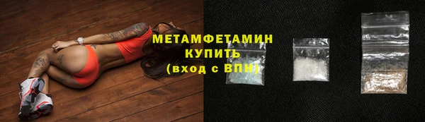 шишки Няндома
