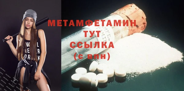шишки Няндома