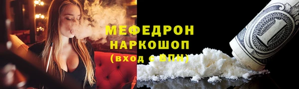 шишки Няндома