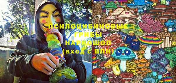 марки lsd Новозыбков