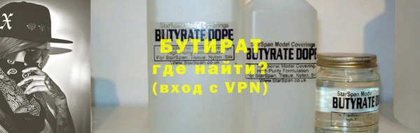 шишки Няндома