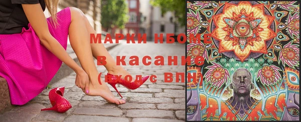 шишки Няндома