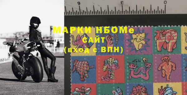 шишки Няндома