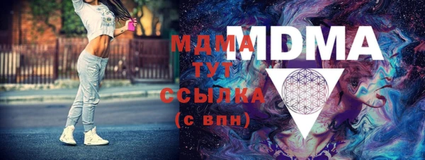 шишки Няндома
