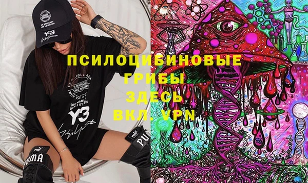 марки lsd Новозыбков