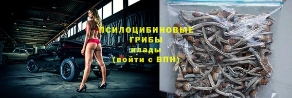гашик Нефтегорск