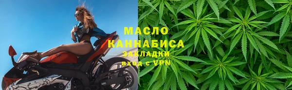 шишки Няндома