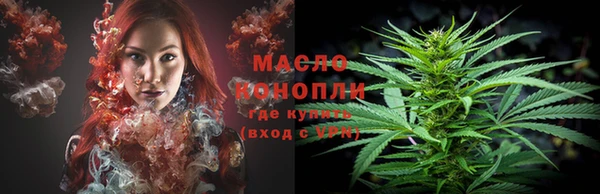 шишки Няндома
