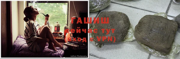 шишки Няндома