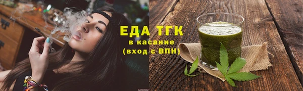 шишки Няндома